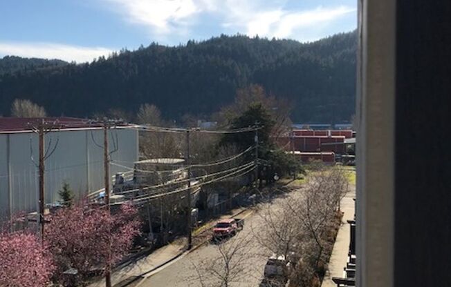 1 bed, 1 bath, 599 sqft, $1,440, Unit 1-111