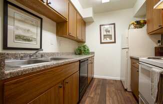 a kitchen with a sink and a stove and a refrigerator