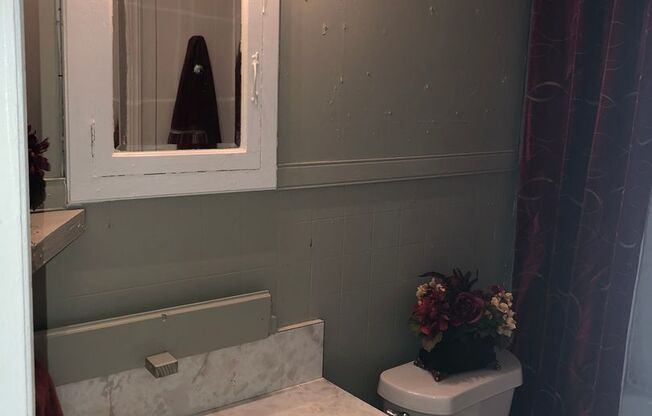 Fresh Paint, New Vinyl, Central Heat and Air, New Appliances, Large Closets, and More!! Available November 1st.