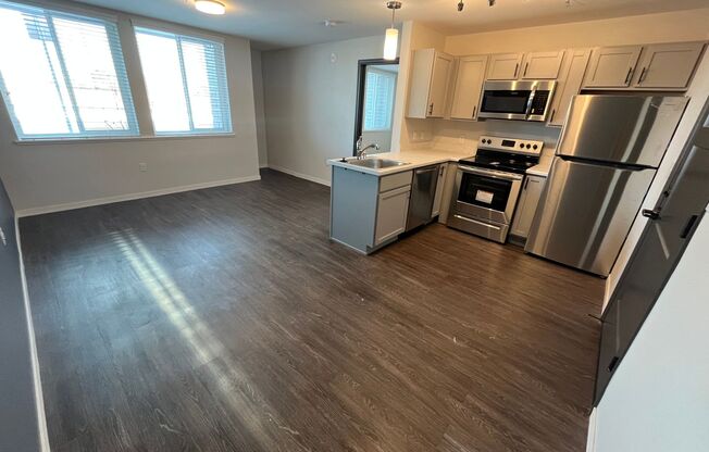 1 bed, 1 bath, 494 sqft, $1,250, Unit 17