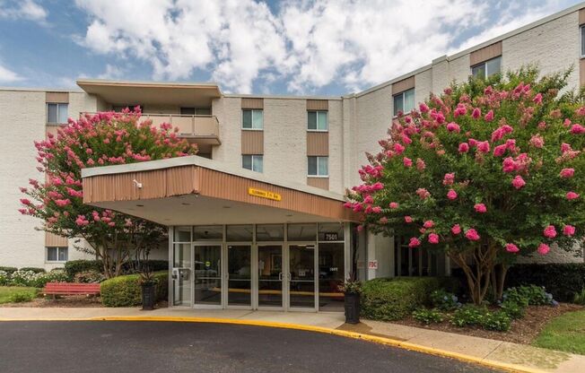Sunny and Spacious 1BD/1BA in Lakeside of Bethesda - All Utilities Included