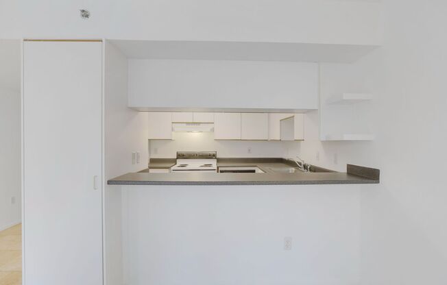 1 bed, 1 bath, 491 sqft, $1,250, Unit 501