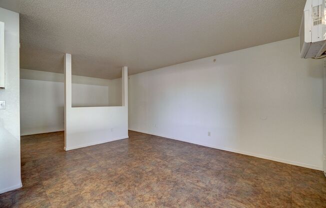 Studio, 1 bath, 494 sqft, $600, Unit 110