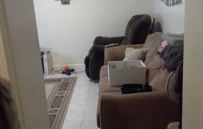 Cheeseplant Apartments