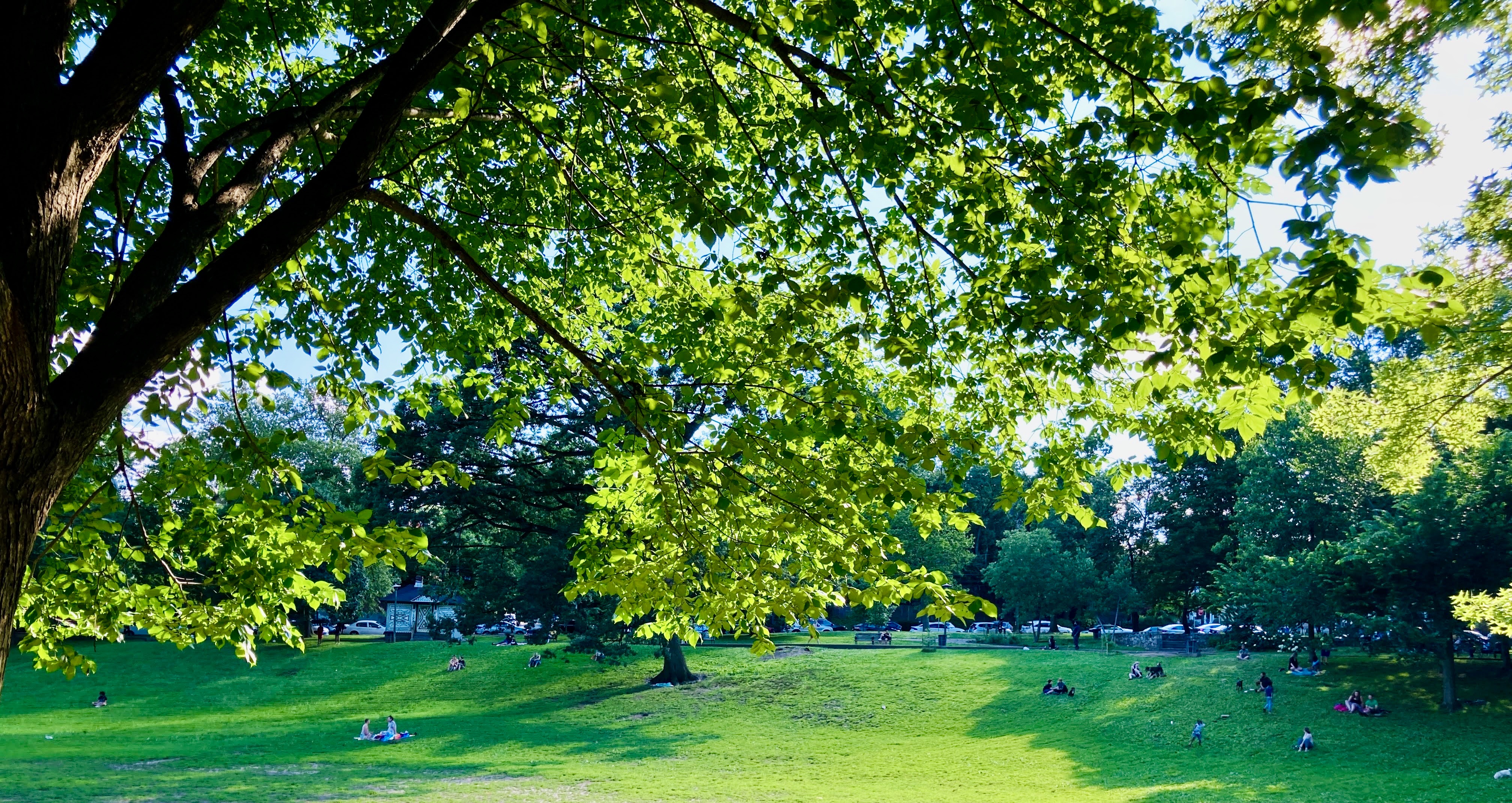 West Philly Clark Park Amphitheater