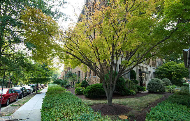 3221-Connecticut Ave Apartments Building Photo 3