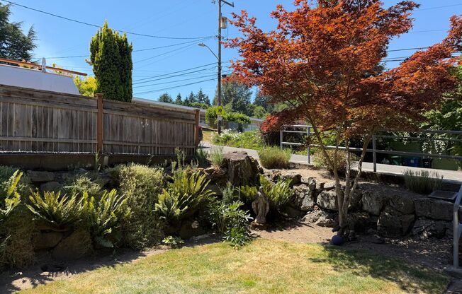 2 weeks Free Rent at Beautiful Maple Leaf Rambler next to Elementary school
