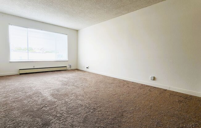 1249 21st Ave.