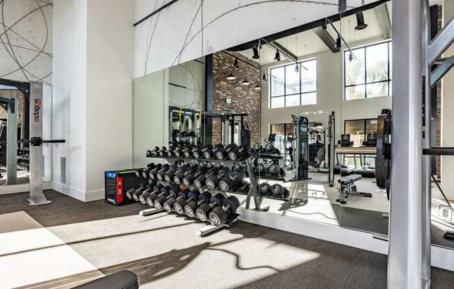 Fully Equipped Fitness Center at Alta Longwood, Longwood
