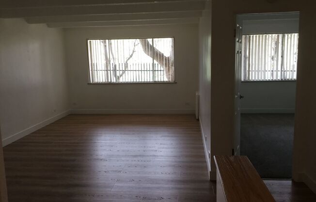 1 bed, 1 bath, $1,300