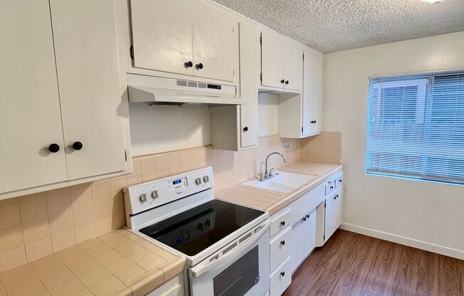 Studio, 1 bath, 500 sqft, $1,595, Unit 342 Temple Ave #3