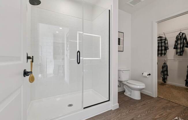 A bathroom with a walk-in shower and a toilet.
