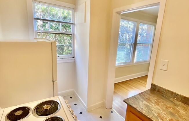 Studio, 1 bath, 365 sqft, $1,195, Unit 306