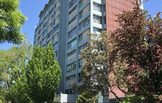 1313 Lincoln St #905