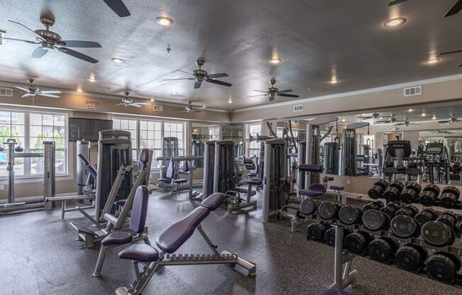 a gym with weights and cardio equipment and ceiling fans