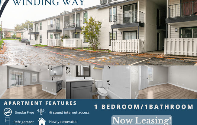 1 bed, 1 bath, 495 sqft, $729, Unit 216