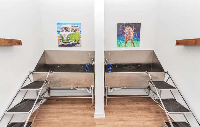 A room with two pet wash beds and pictures on the wall.