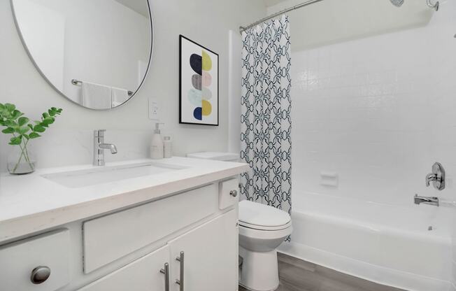 a bathroom with a sink and a toilet and a bath tub