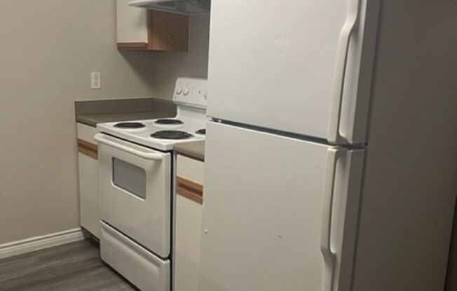 1 bed, 1 bath, 543 sqft, $749
