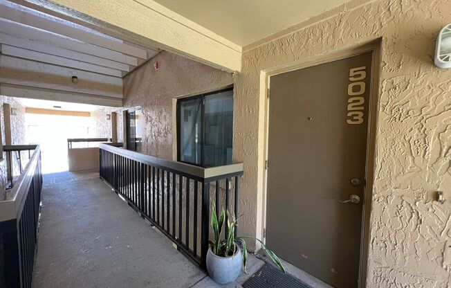 Great Apartment for rent!