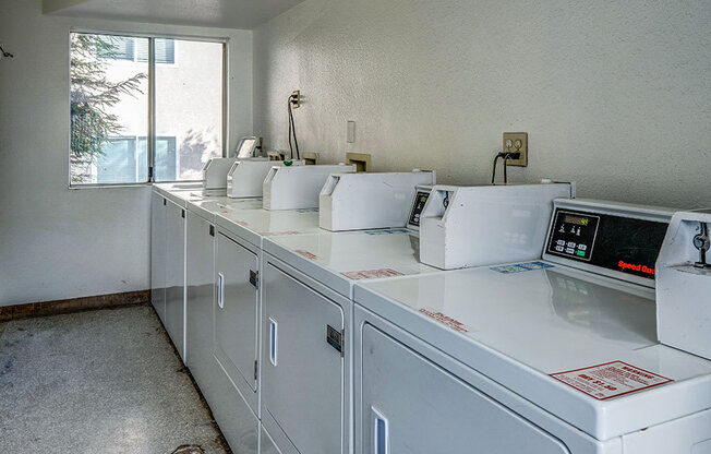 Clean and well-maintained laundry room.