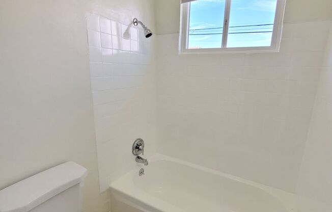 Studio, 1 bath, 360 sqft, $1,600