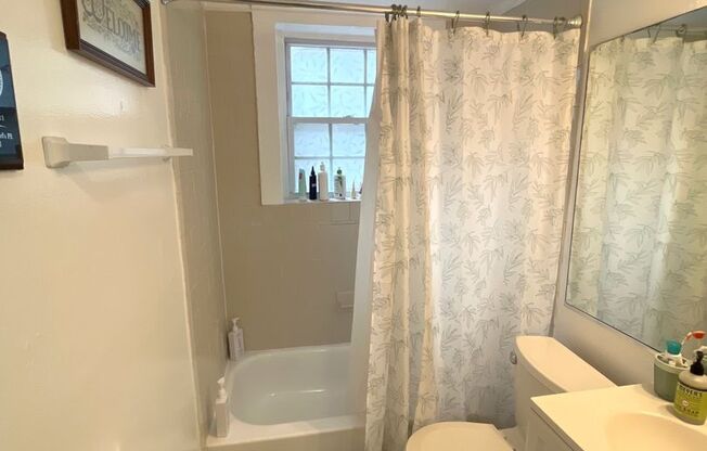 Studio, 1 bath, 500 sqft, $1,295, Unit 873-2