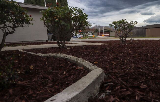 Welcome Home!!! - 3 bedroom 2 bath