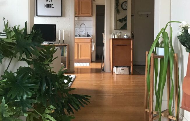 Studio, 1 bath, 494 sqft, $950, Unit 307-40