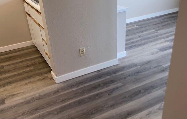 Studio, 1 bath, 462 sqft, $1,250, Unit 305