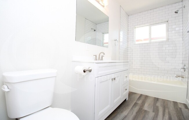 1 bed, 1 bath, 558 sqft, $1,349, Unit 3