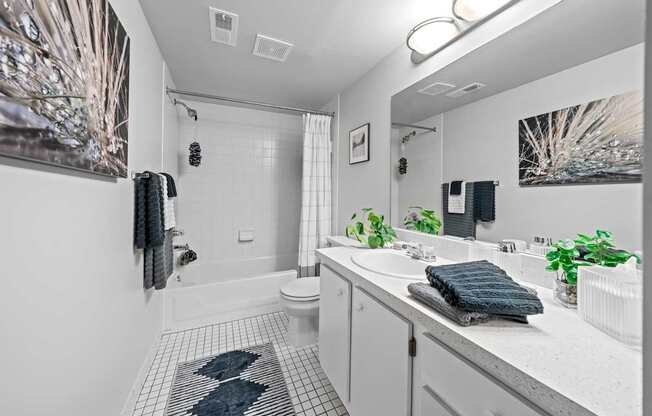 Posh bathroom at Dover Hills Apartments in Kalamazoo