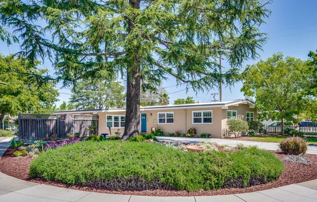 Beautifully Remodeled Home in Prime Cambrian Location