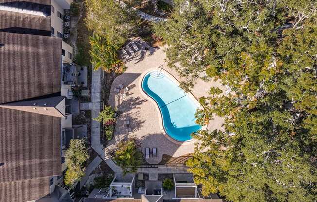 A swimming pool surrounded by trees and buildings.
