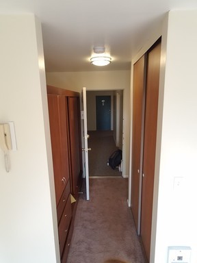 Studio, 1 bath, 300 sqft, $1,295, Unit 201