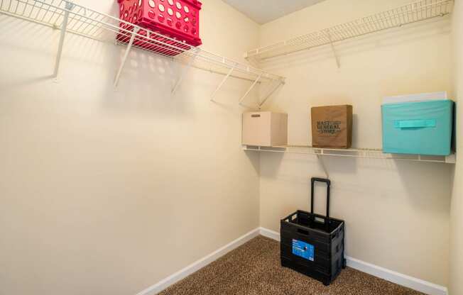 Generous Walk-In Closets With Shelving at Cedar Springs Apartments, Raleigh, NC