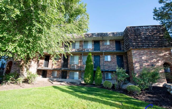 1 bed, 1 bath, 600 sqft, $1,125, Unit 09