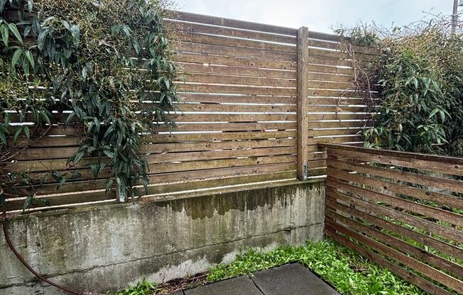 Studio, 1 bath, 249 sqft, $1,295, Unit 109