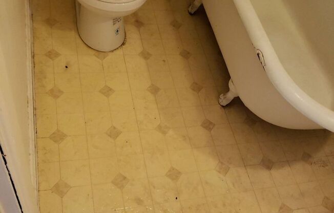 2 beds, 1 bath, $810, Unit O