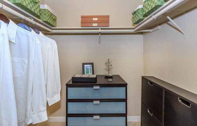 a walk in closet with a dresser and shelves