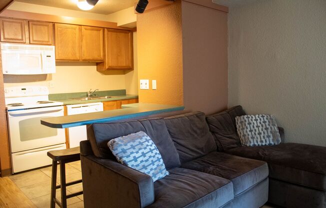 1 bed, 1 bath, 392 sqft, $980