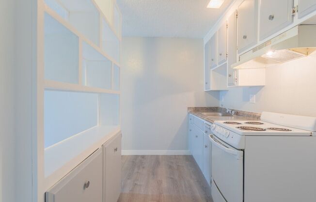 Studio, 1 bath, 420 sqft, $1,795, Unit 262