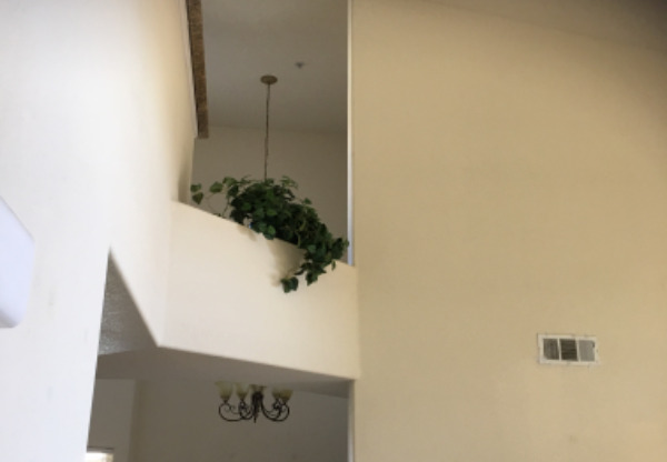 2230 Valley View Pky, #233