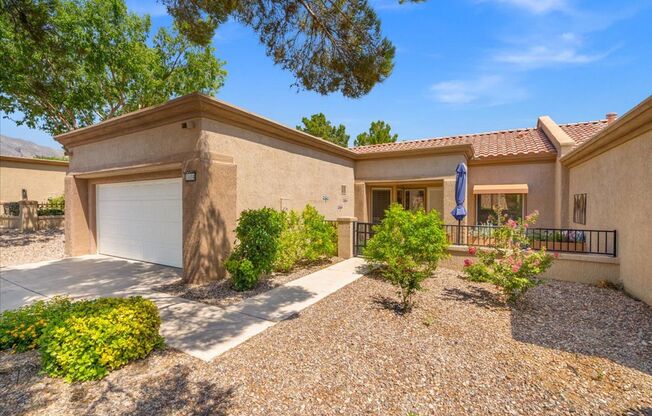 Renovated Single Story In Sun City Summerlin