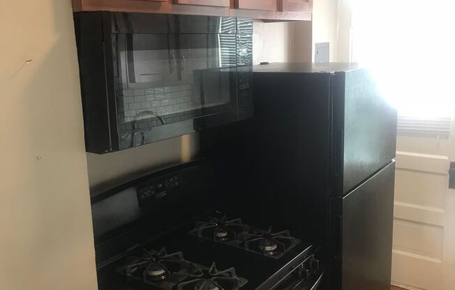 1 bed, 1 bath, $800, Unit 509 S 18th St-1