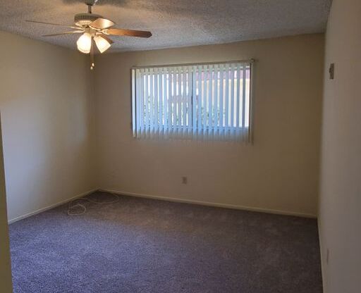 1 bed, 1 bath, 625 sqft, $1,950, Unit 313