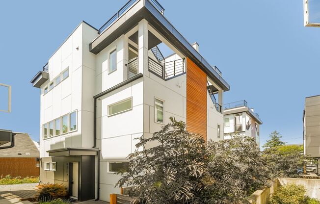 Luxury New Construction with Rooftop Views