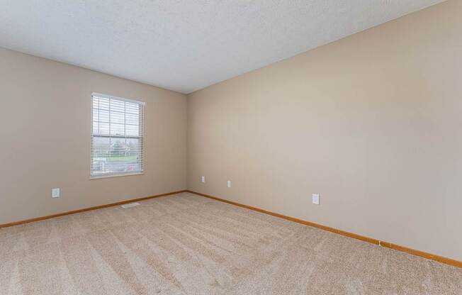 A room with a carpeted floor and a window.