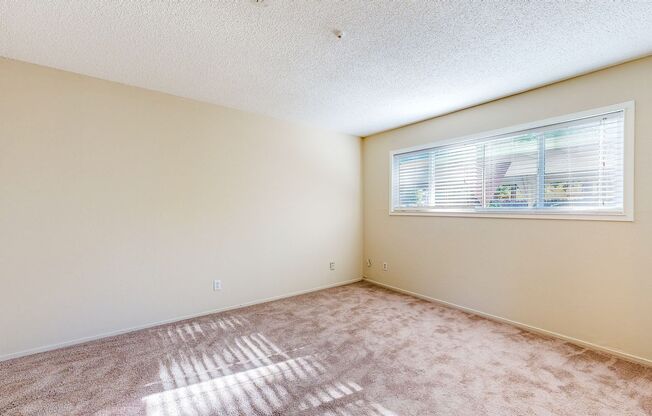 1 bed, 1 bath, $1,750