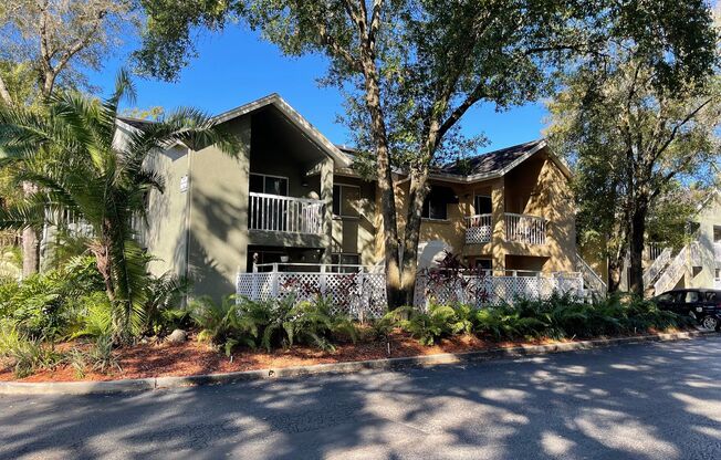 Studio, 1 bath, 500 sqft, $1,095, Unit Apt 50